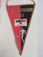 /album/sala1/sala-ucnovske-stredisko-osp-26-jpg/